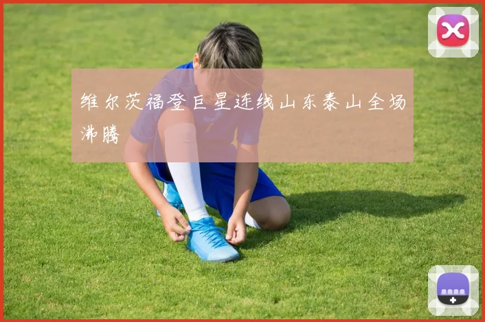 维尔茨福登巨星连线山东泰山全场沸腾