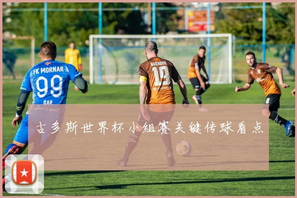古多斯世界杯小组赛关键传球看点