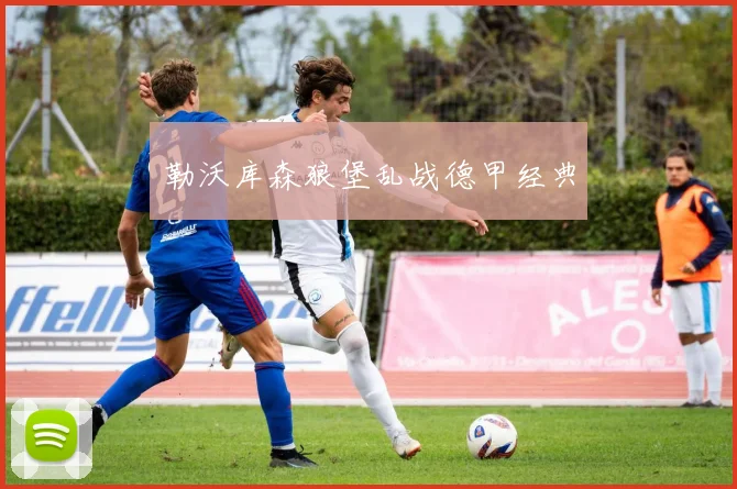 勒沃库森狼堡乱战德甲经典
