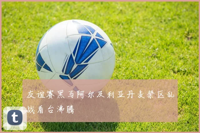 友谊赛黑马阿尔及利亚丹麦禁区乱战看台沸腾