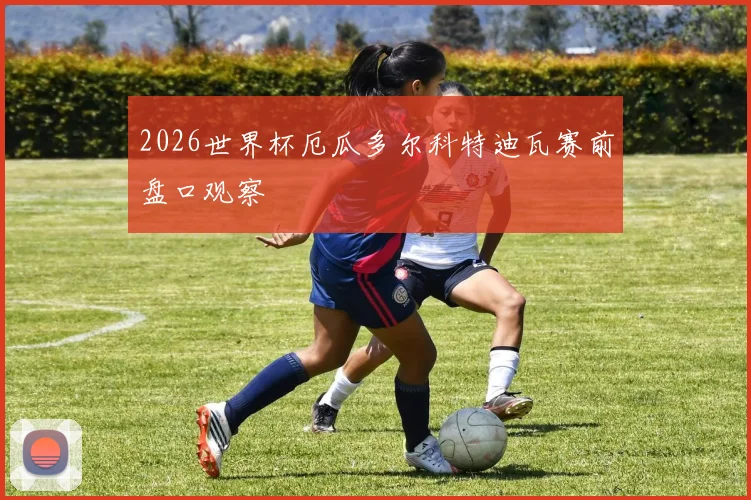 2026世界杯厄瓜多尔科特迪瓦赛前盘口观察