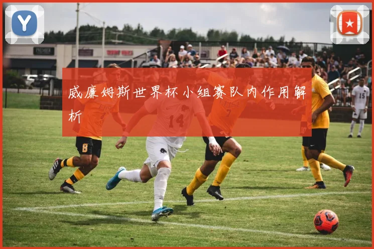威廉姆斯世界杯小组赛队内作用解析