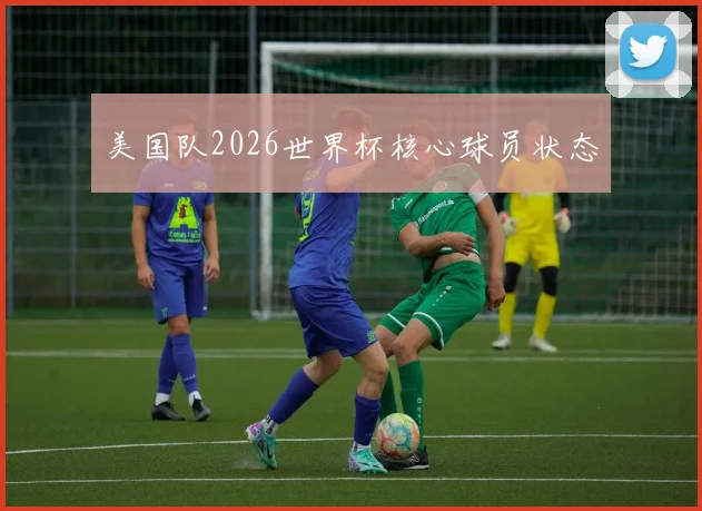 美国队2026世界杯核心球员状态