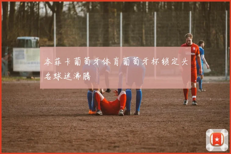 本菲卡葡萄牙体育葡萄牙杯锁定头名球迷沸腾