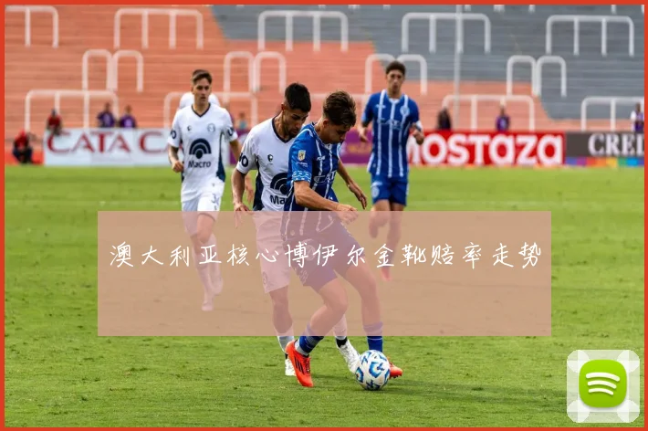澳大利亚核心博伊尔金靴赔率走势