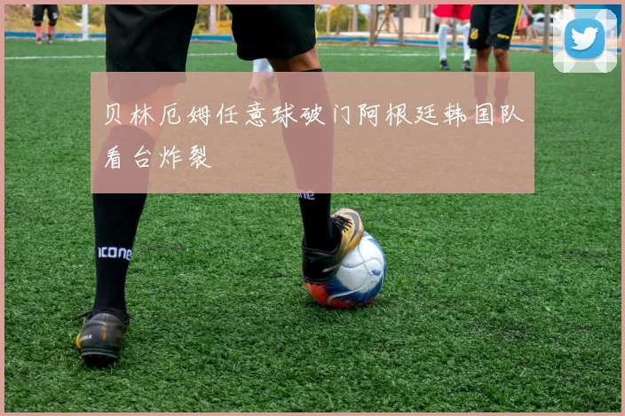 贝林厄姆任意球破门阿根廷韩国队看台炸裂