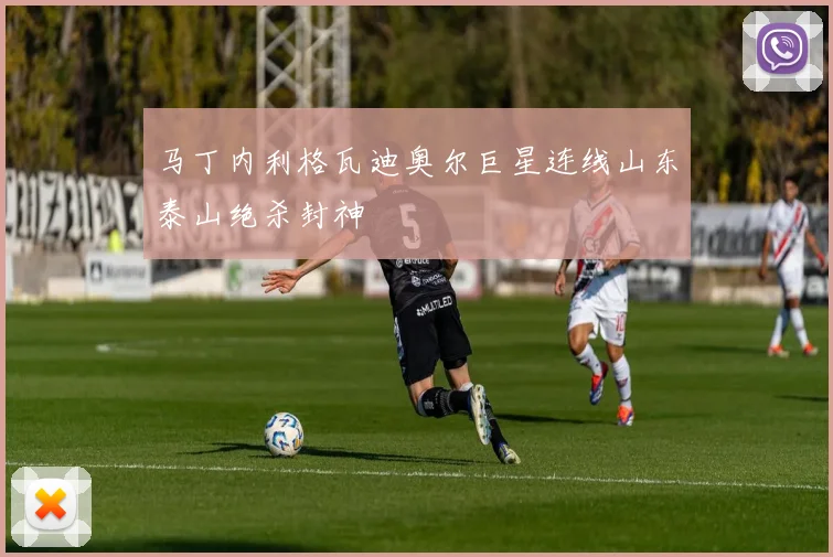 马丁内利格瓦迪奥尔巨星连线山东泰山绝杀封神