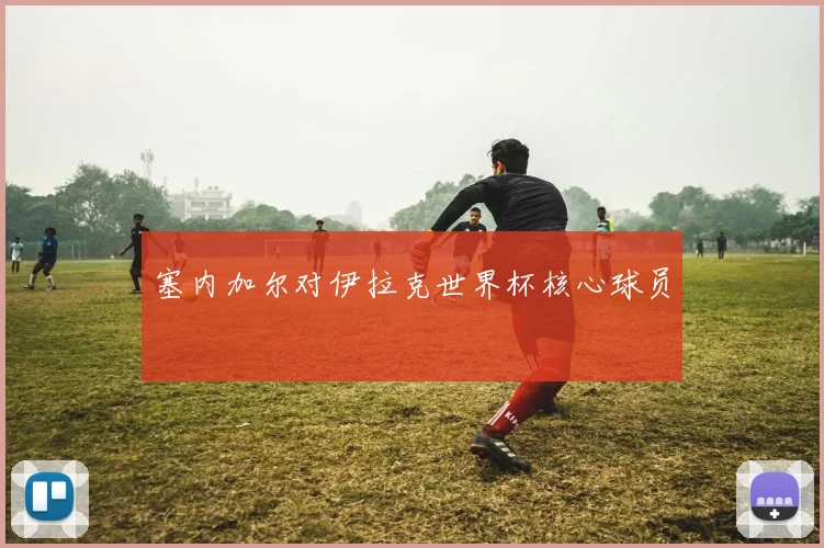 塞内加尔对伊拉克世界杯核心球员